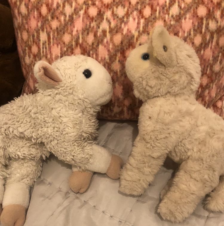 Вернулся к Маше и Фисе с подарками. Я что-то подобрел, ёмае…