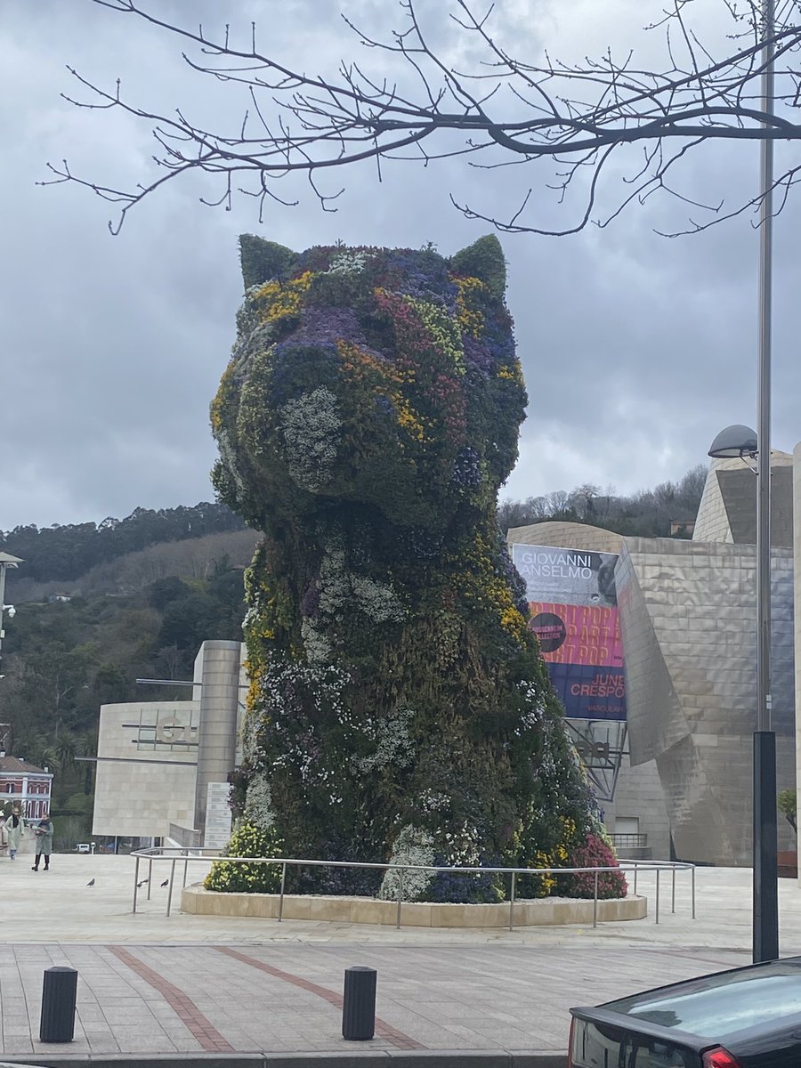 pjacksonphilip's tweet photo. Afternoon in Bilbao. Dogs and spiders. https://t.co/7OX8yVsHsp