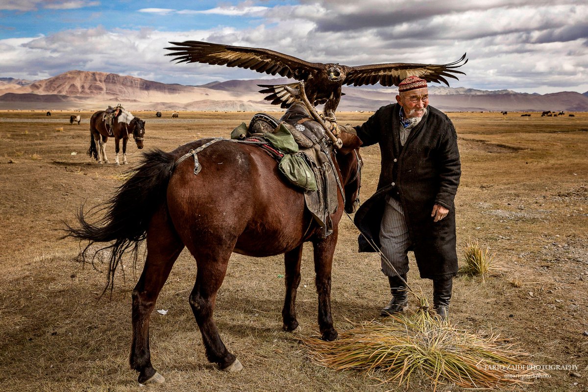 Eagle hunters in Western #Mongolia have trained their birds for around seven years, forming a strong bond. Today, only about seventy #eagle hunters are keeping this ancient art alive. Image by @tariqzaidiphoto 2015. #reportage #reportagespotlight #eaglehunter #BayanOlgii