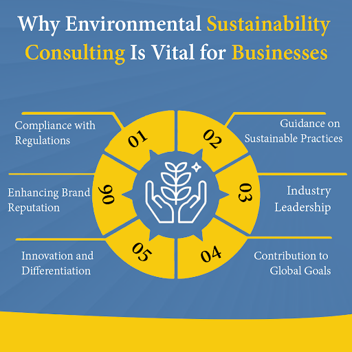 With growing awareness of climate change and environmental degradation, businesses are increasingly seeking guidance to reduce their carbon footprint and minimize their impact on the planet. #GreenLeadership #ClimateActionNow #CorporateResponsibility #mondaymood