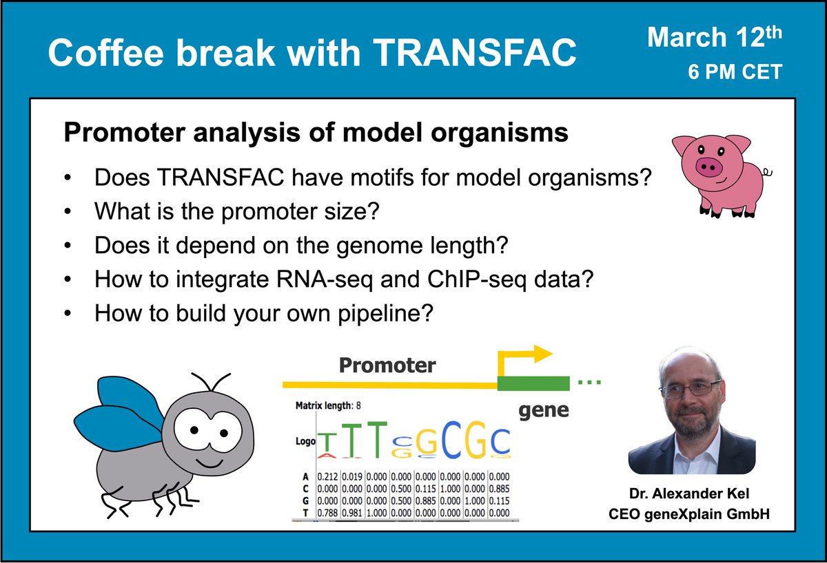 geneXplain's tweet photo. Don't miss the Coffee break with TRANSFAC on March 12th at 6 PM CET
Get the joining link here https://t.co/nuwmRuiISR 

#TRANSFAC #PromoterAnalysis #Transcription #GeneRegulation #TranscriptionFactors #TFBS #Bioinformatics #SystemsBiology #ModelOrganism #Fruitfly #Drosophila https://t.co/UY2BJOJEJj