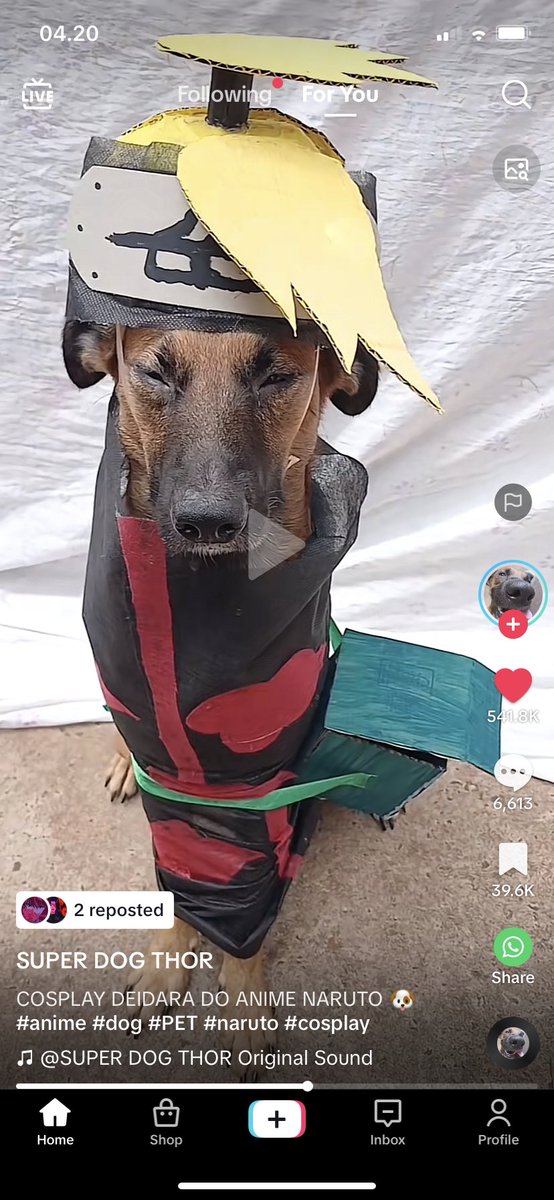kkuroari's tweet photo. happy ramadan pookies <3 this suhoor i was blessed by deidara dog https://t.co/Pw5U3IQM49