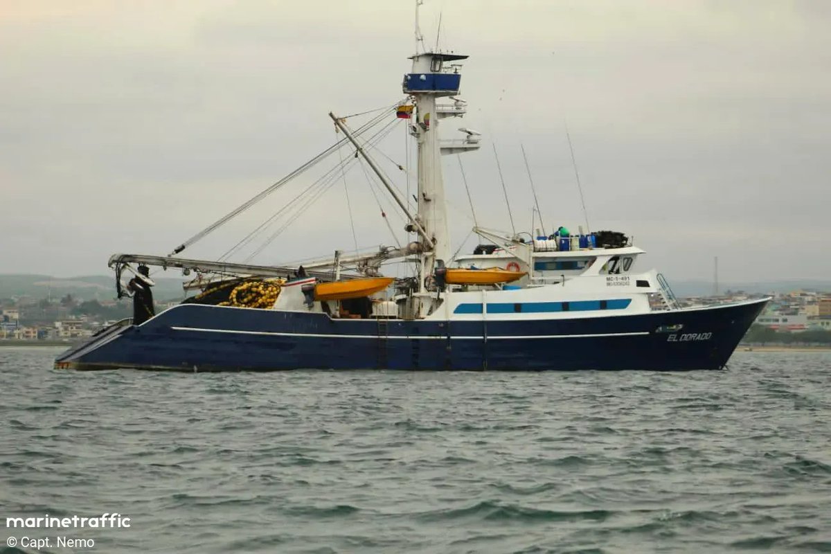 En Yuruparí-Malpelo no está permitida la pesca industrial, sin embargo, según datos de Global Fishing Watch, en 2023 el barco industrial el Dorado habría realizado diversos esfuerzos de pesca dentro del área. 2/8 es.mongabay.com/2024/03/colomb…