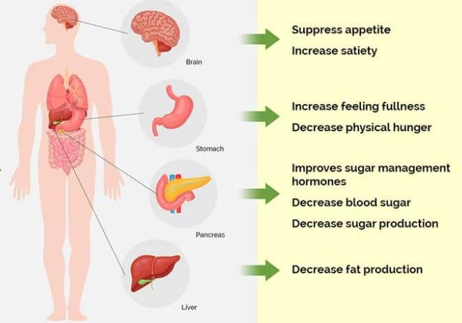 La FDA aprueba una nueva indicación de uso del fármaco semaglutida (Wegovy) para reducir el riesgo de muerte cardiovascular, ataque cardíaco y accidente cerebrovascular en adultos con enfermedades cardiovasculares, sobrepeso y obesidad.