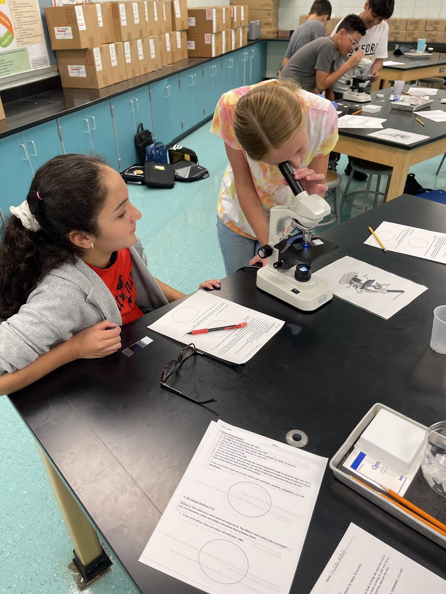 Examining some eukaryotic cells. 🧐💕 #OMSJacketLife #GoBigO #middleschoolscience #inthelabdoingsciencethangs