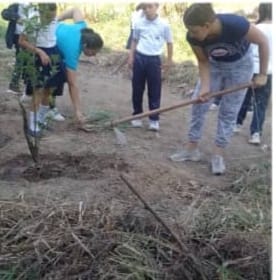 CDCE ARAGUA tweet media