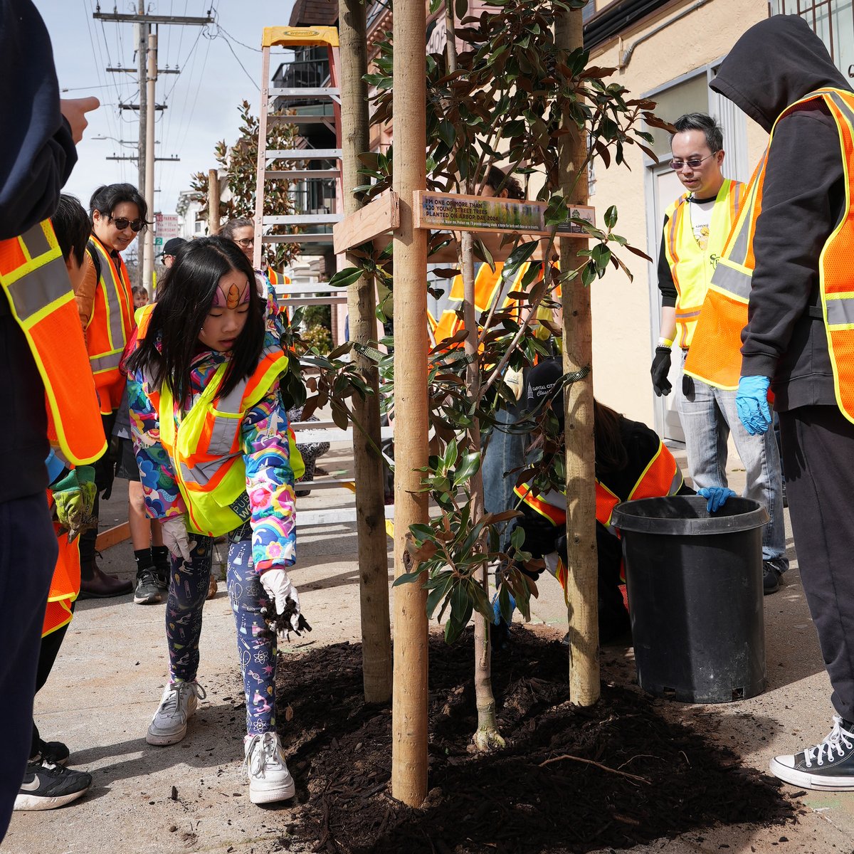 We celebrated Arbor Day on March 9, 2024. Working with 200 or so community volunteers, our urban forestry crews planted 100 new street trees in the Tenderloin, NoPa and Hayes Valley. We also hosted a family-fun community fair with lots of hands-on activities for all ages.