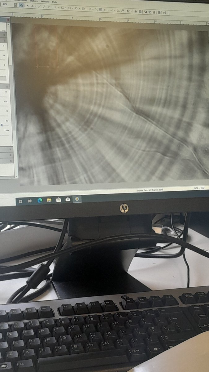 Rose Boardman tweet media