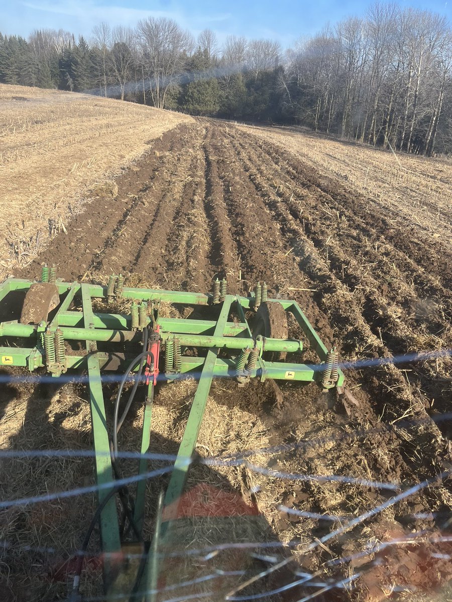 And so it begins, #plant2024 #yooper