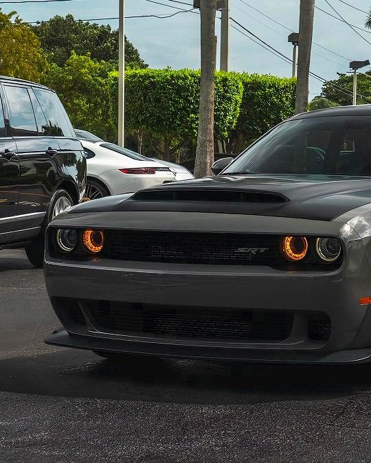 DodgeFanClub's tweet photo. Dodge Demon 808HP😈
📸: Presidential Auto L. https://t.co/kc5vYJqh0T