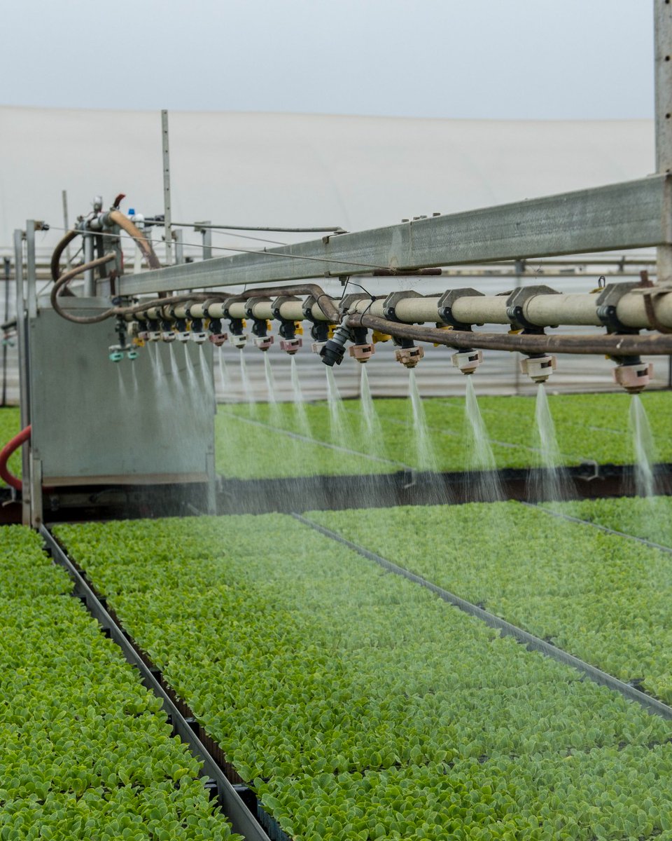 PlantTape - automated transplanting system tweet media