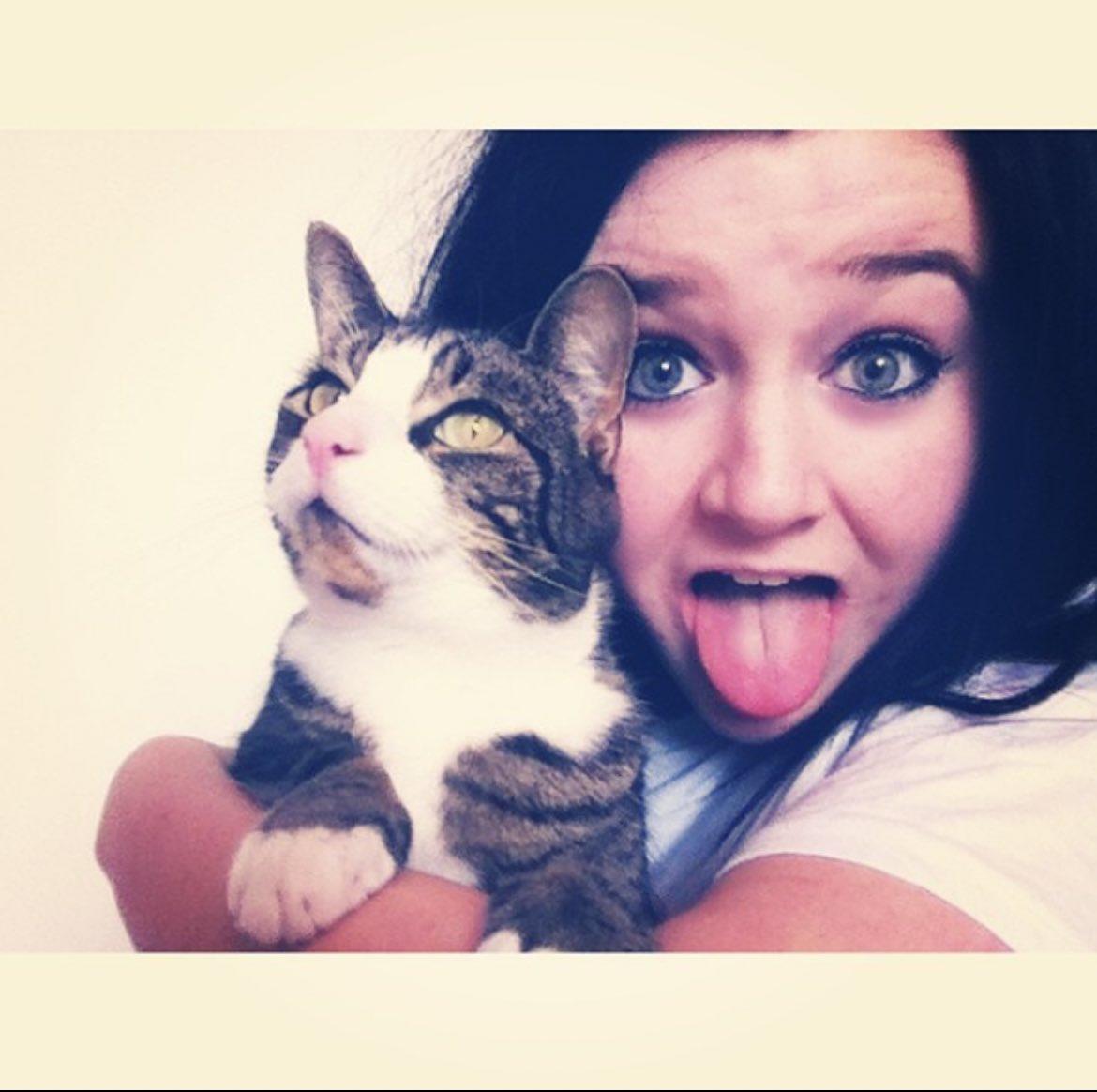 RobertaCheesman's tweet photo. 2013 -> 2024

i’ll never not force cats to have photoshoots https://t.co/7lbjgyiEU9