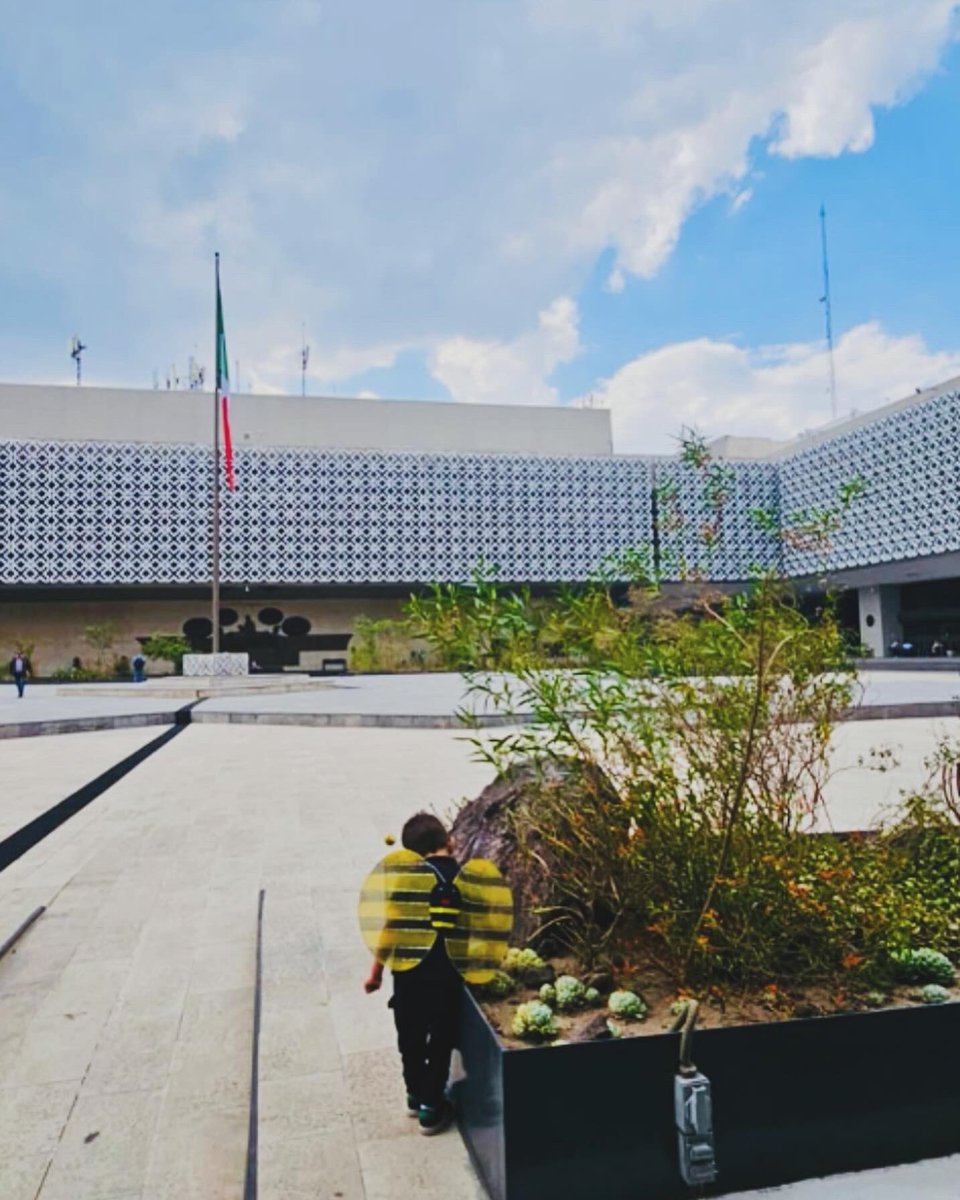 ¡Ya llegó la primavera a los jardines de San Lázaro y con ella un pequeño polinizador!