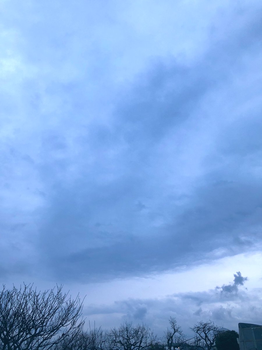 おはようございます🌧️

昨日は東日本大地震の慰霊日でした。一日中ラジオ聞いてるので怖さと悲しさに暮れました。
忘れてはいけないし。教訓として我が身を守らんといけないと思い直しました。
ポストしながら自分に言い聞かせています！

今日は雨、風がともに強く荒れる予報です。憂鬱‥
＃イマソラ