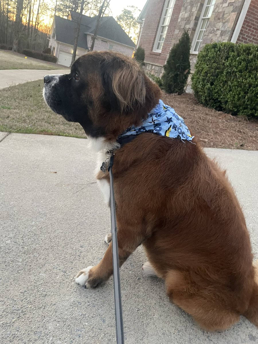 Shaunya Chavis-Rucker tweet media