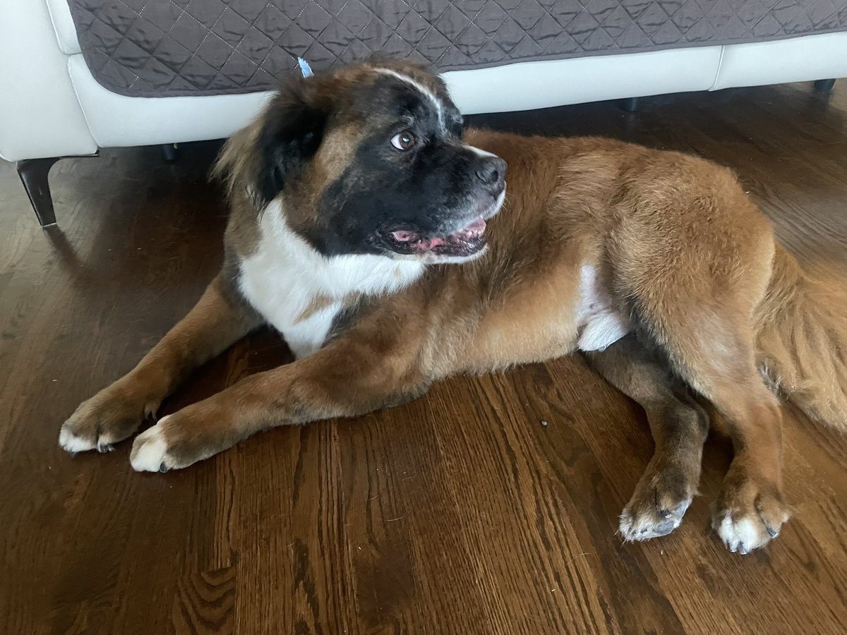 Shaunya Chavis-Rucker tweet media