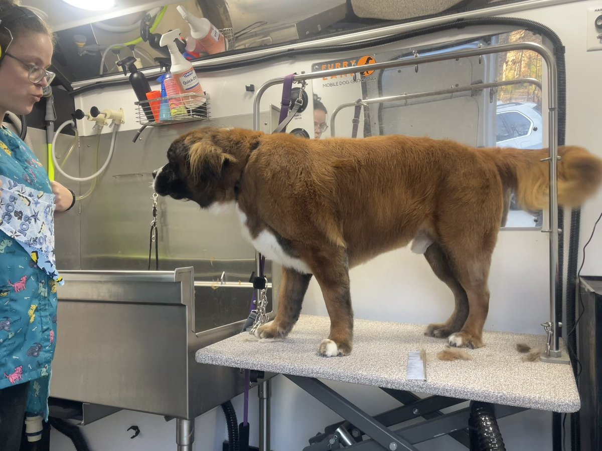 Shaunya Chavis-Rucker tweet media