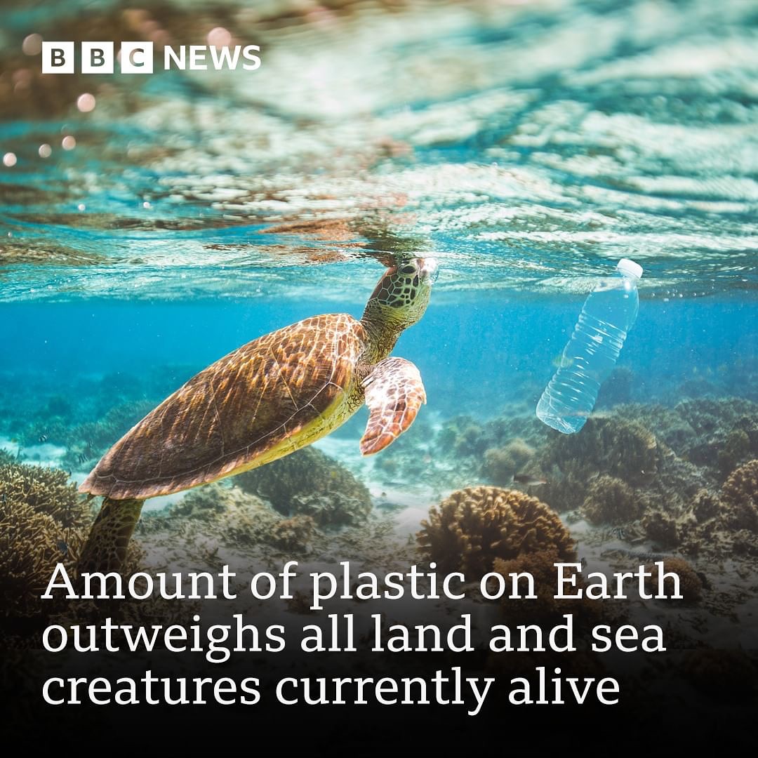 ecofriendlyfact's tweet image. The amount of plastic on Earth now outweighs all land and sea creatures currently alive.

Plastic has also been found in the guts of creatures living deep in the ocean and even in human placentas.

.
.
Read More : ecofriendlyfact.com

#plasticpollution #uselessplastic