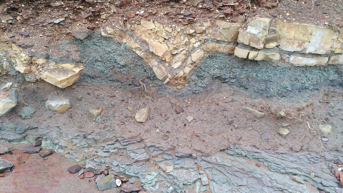 Angus Miller tweet media