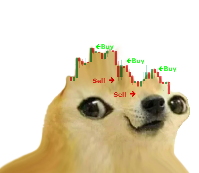doegxyz's tweet photo. https://t.co/cuS0YnczZO