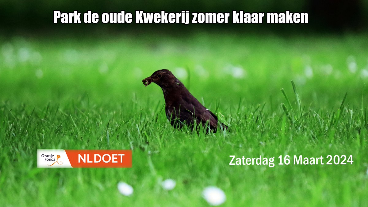 nldoet.nl/activiteit/par…