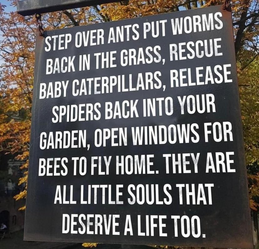 So very true. They have as much right as us to be here. 🌎 🐜🪱🐛🕷️🐝