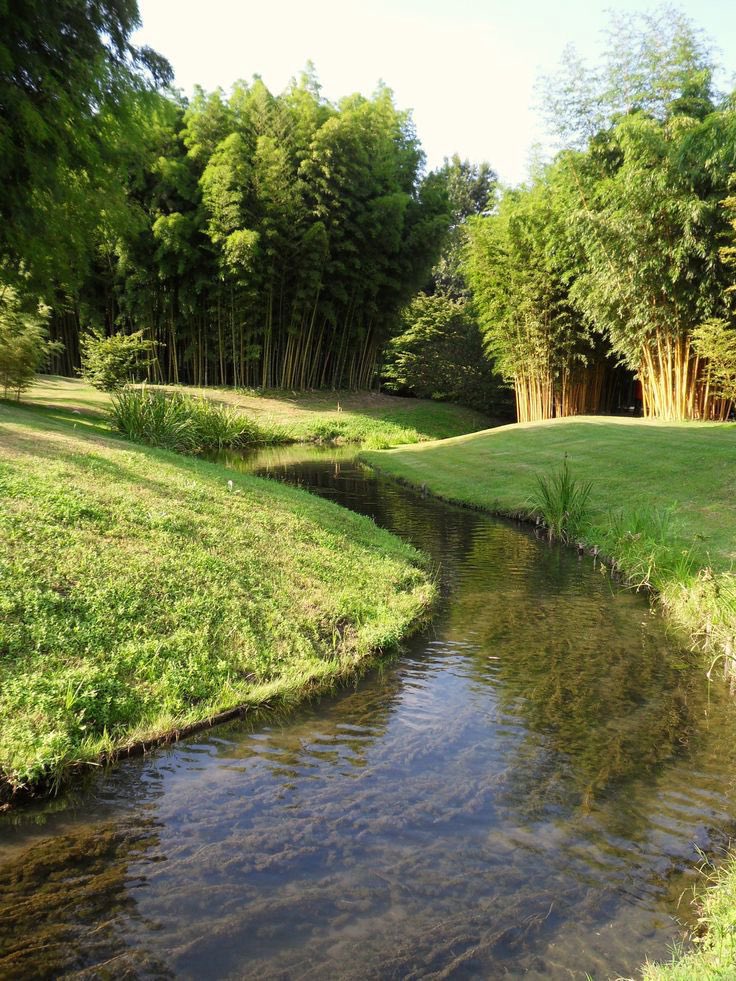 ᅠ ᅠ (@greendreaams) on Twitter photo 