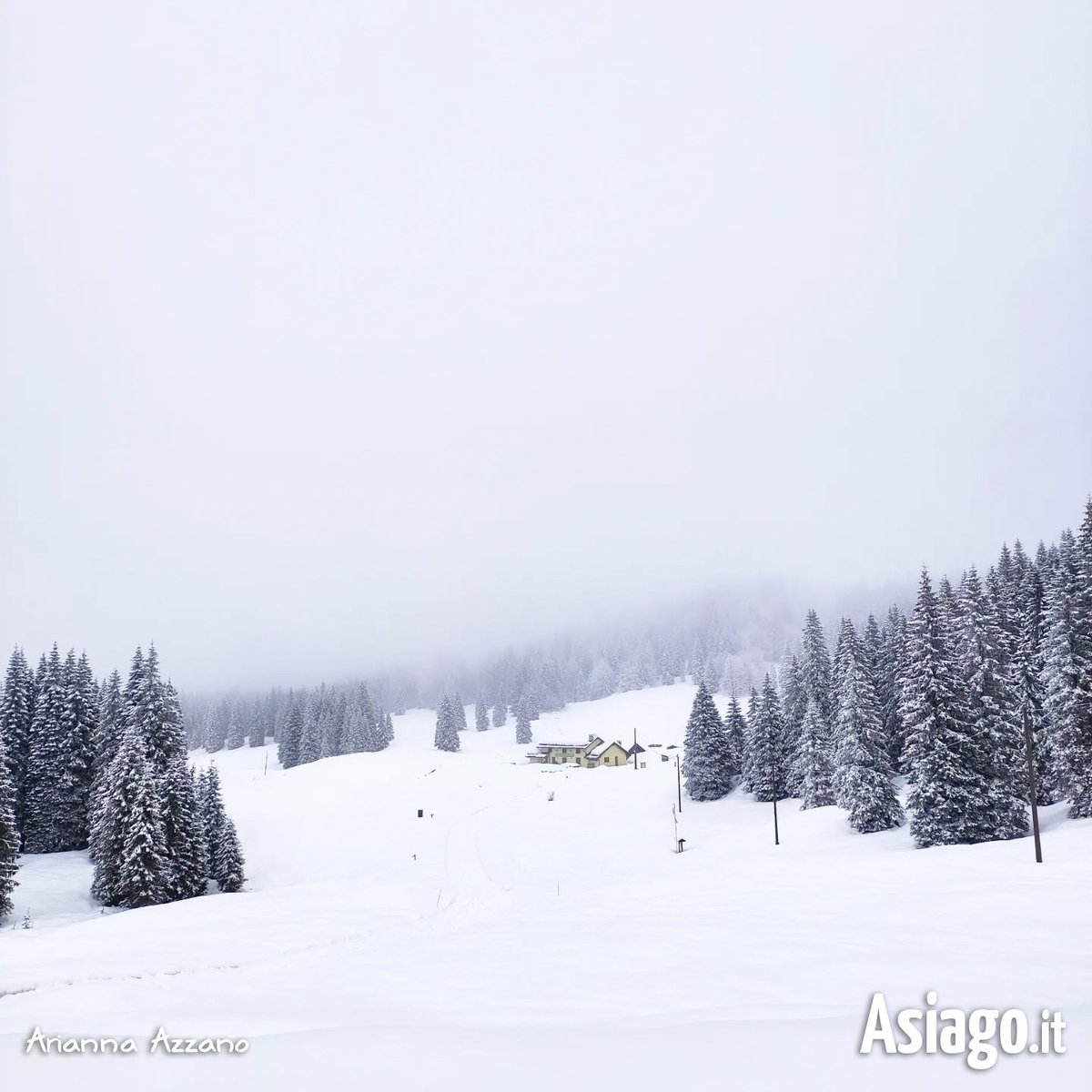 AsiagoIt's tweet photo. RICORDI DEL WEEKEND... Sabato scorso a #Campomulo! 💙
Stasera per voi tutta la #magia di un paesaggio quasi in bianco e nero, perfettamente immortalato dall'amica Arianna... 😍 Lo sentite il #silenzio?
#Asiagoit #altopianodiasiago #Veneto #Gallio #montagna #neve https://t.co/Q3y5J2oiXC