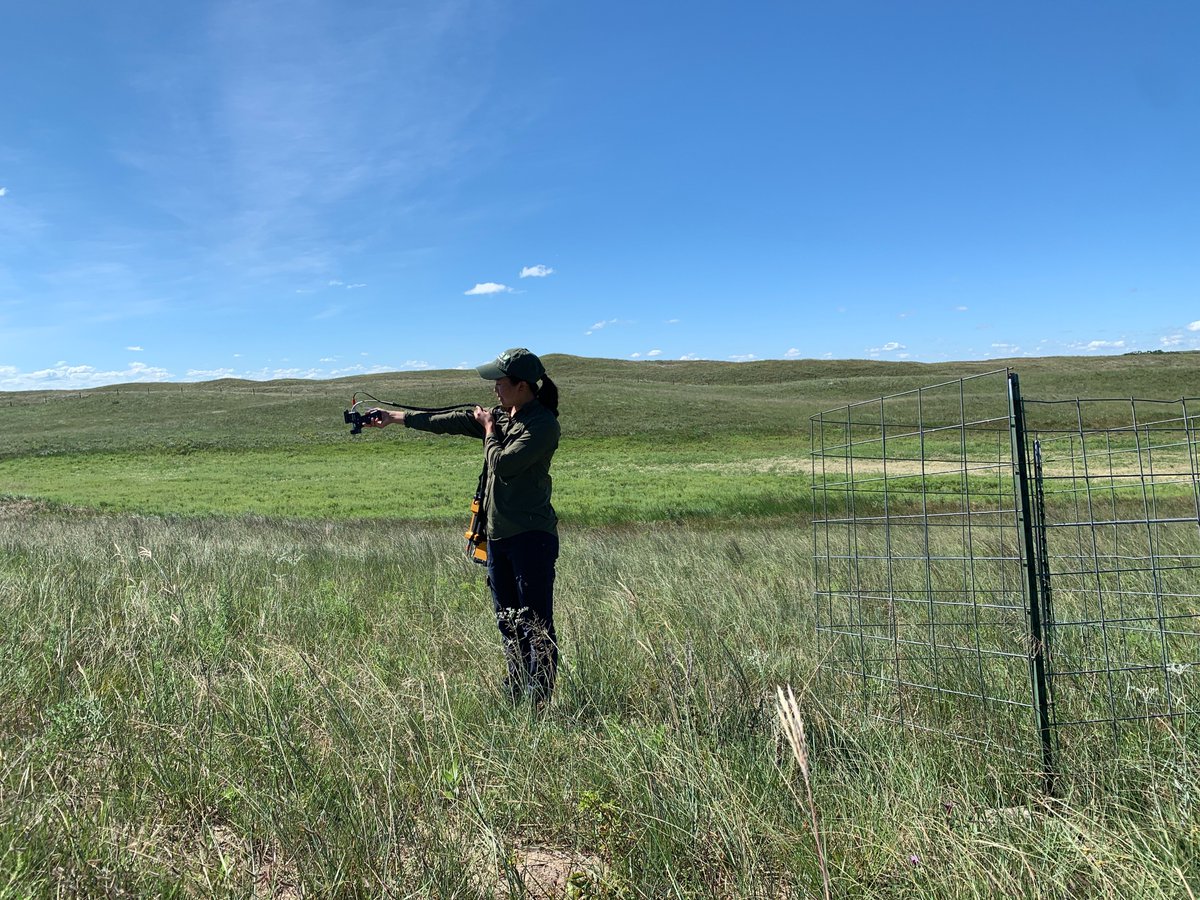 Remotely interesting: #NE_NRT alumni Catherine Chan has been using remote sensing to study the resilience of Nebraska Sandhills vegetation.

ianrnews.unl.edu/chan-studying-…

#NSFNRT @UNLSNR