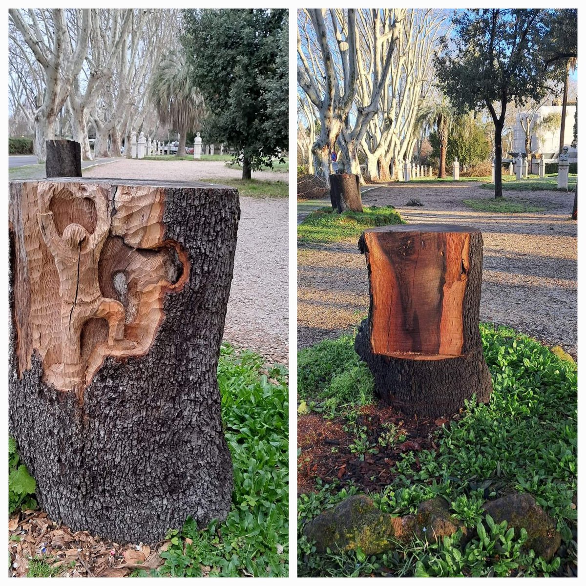 A Roma c'è qualcuno che dà un senso ai "tronchi morti" sparsi ovunque ricavandone delle sculture...poteva mancare il vandalo che se le porta via?