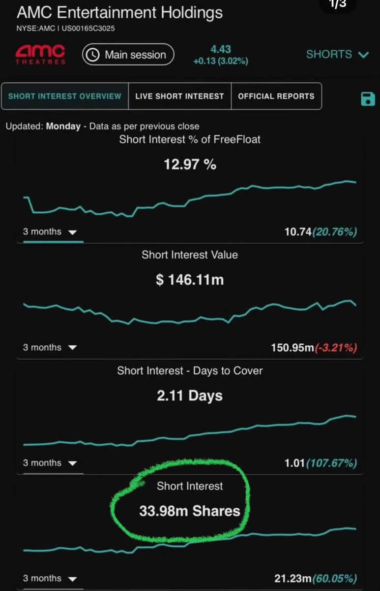 💎Practical Stocks🦍🚀 tweet media