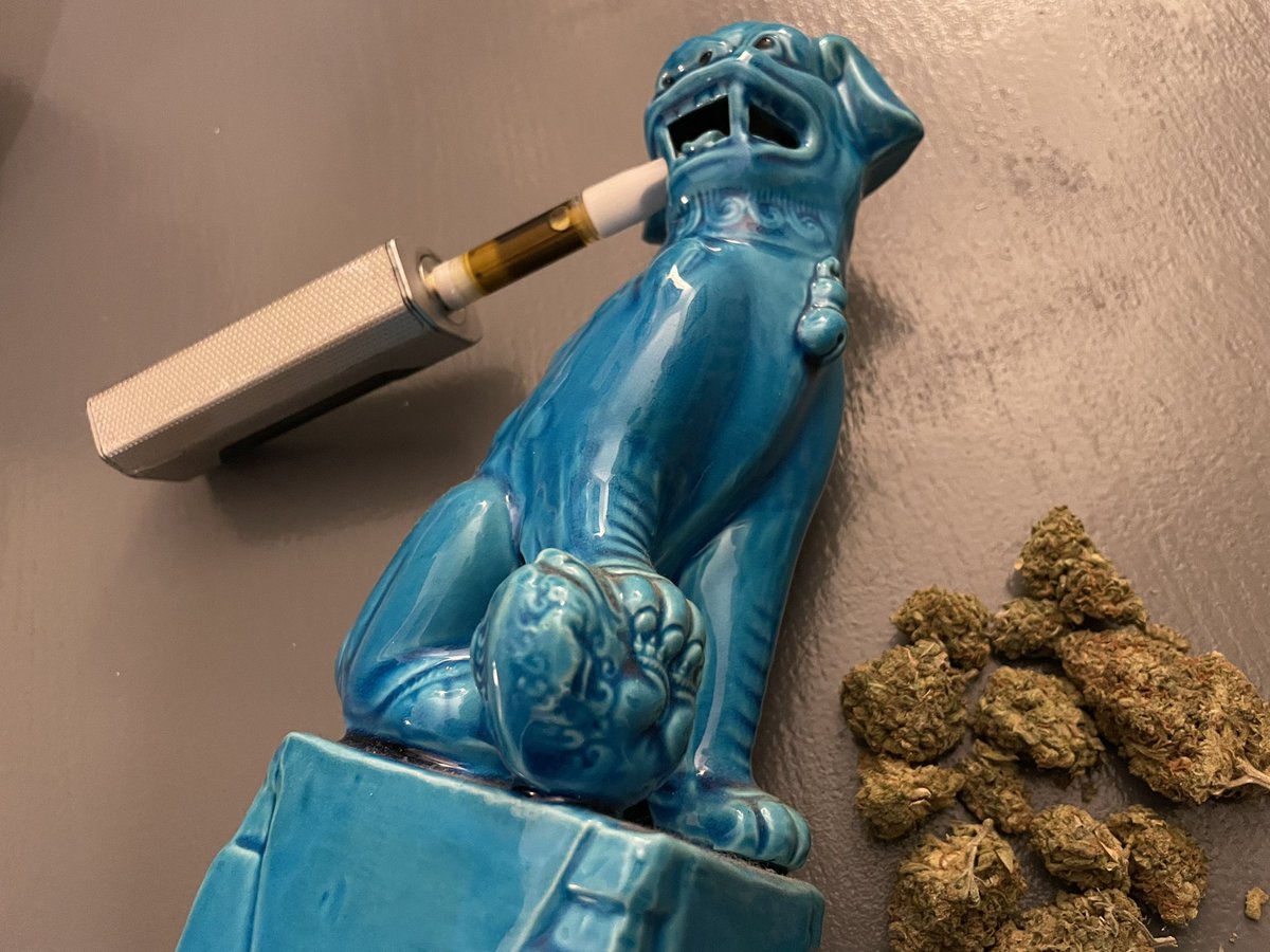GreenBritainUK's tweet photo. Order #19 delivered! ππ»π¦ 7g of Amnesia Haze and Wedding Cake Vape cart (1g) Sign up here to order: https://t.co/2rUfUfdFZg
Use discount code β#maryjaneβ for 10% off your entire order!! π₯°π°#greenbritaincodes #greenbritaindiscount #greenbritainweed #thccarts #amnesiahaze #budz https://t.co/9Ik7p4TfV3