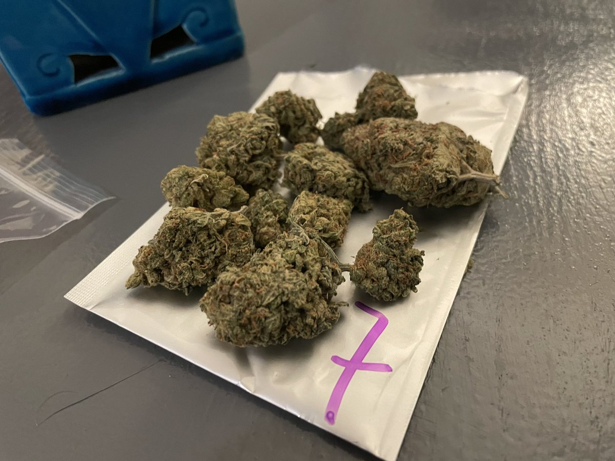GreenBritainUK's tweet photo. Order #19 delivered! ππ»π¦ 7g of Amnesia Haze and Wedding Cake Vape cart (1g) Sign up here to order: https://t.co/2rUfUfdFZg
Use discount code β#maryjaneβ for 10% off your entire order!! π₯°π°#greenbritaincodes #greenbritaindiscount #greenbritainweed #thccarts #amnesiahaze #budz https://t.co/9Ik7p4TfV3