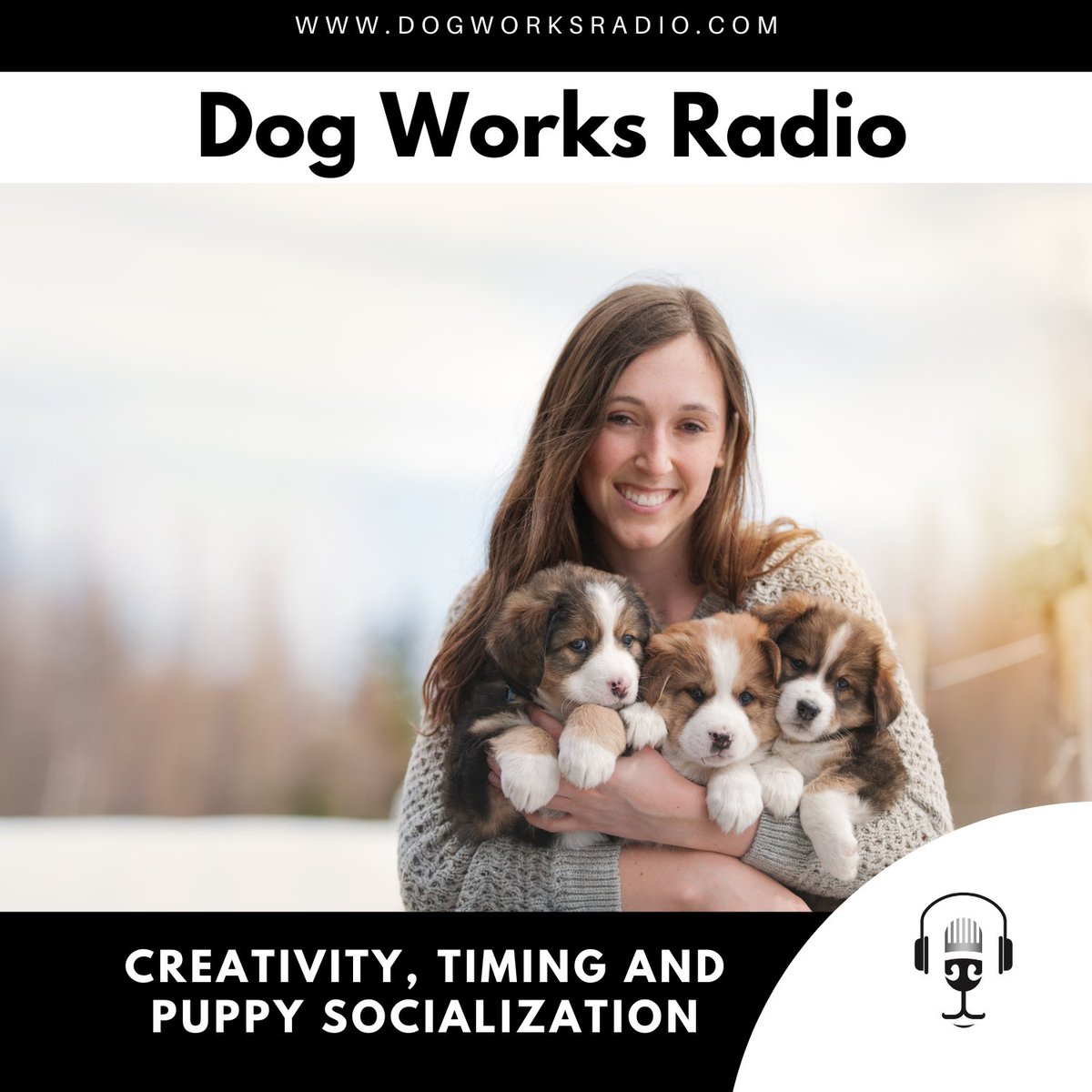 AlaskaDogWorks's tweet photo. [#Podcast] @micheleforto discusses why timing and creativity are important to puppy socialization 

https://t.co/mg7dphFCkG https://t.co/BR7FCTZJSF