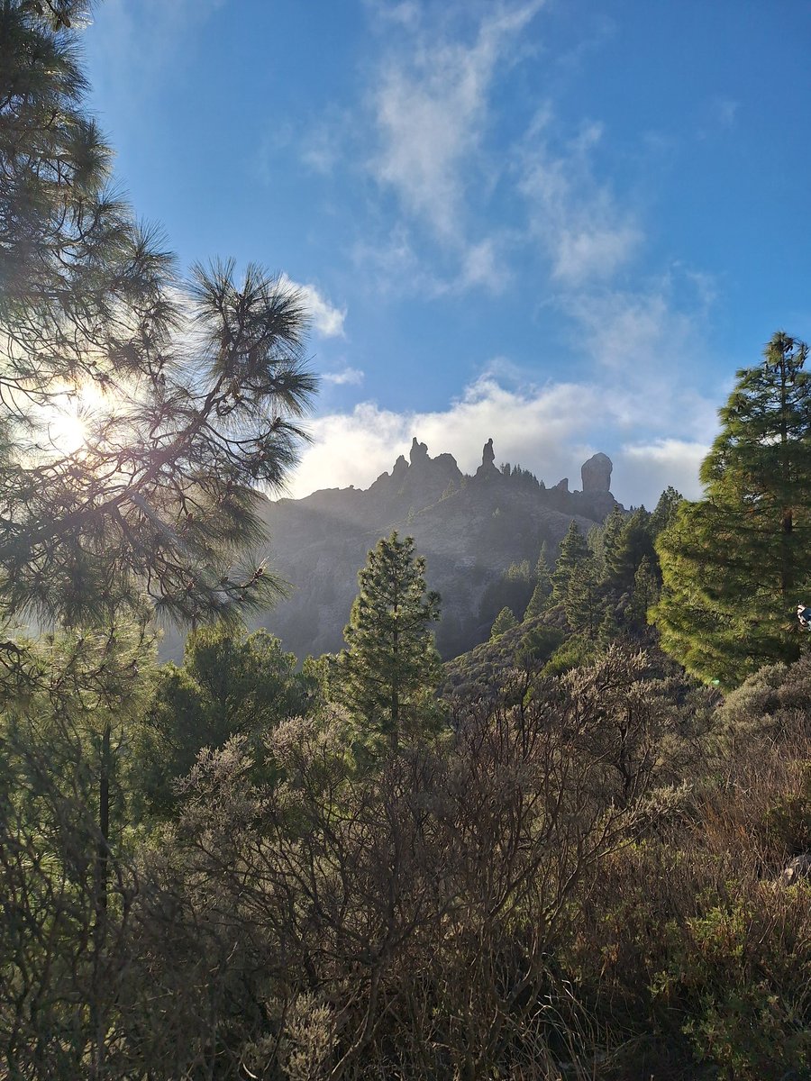 biogeosensing's tweet photo. Ah! @TechOceanS tests Day 7! It was all about getting ready for the mission today! But we managed to make a late trip to the Roque Nublo and enjoy the sunset.
#BioCAM also ran some tests in the harbour. https://t.co/GJAns8qF5r