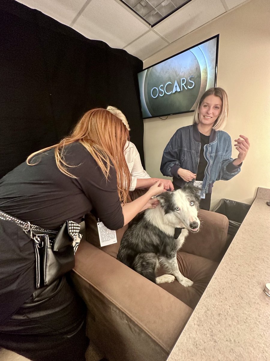 WeRateDogs tweet media