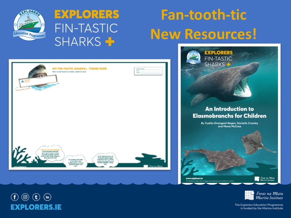It's Monday! 
If you're looking for some fin-spiration this week, have a look at our fabulous new Sharks+ resources!
We have a Teachers Planning Guide, Childrens' Activities, Information and Work Books, Presentations, Posters and a Mermaid's Purse Identification Key! 
All for