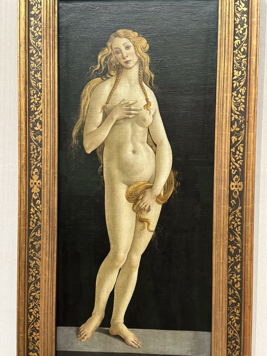 the most famous venus, right here at the gemäldegalerie.plus 100 more master works. incredible experience. comparable to metr. museum in nyc or louvre in many aspecrs. ⁦@MuseeLouvre⁩ ⁦@metmuseum⁩ ⁦@MDC_Berlin⁩ ⁦@BIMSB_MDC⁩