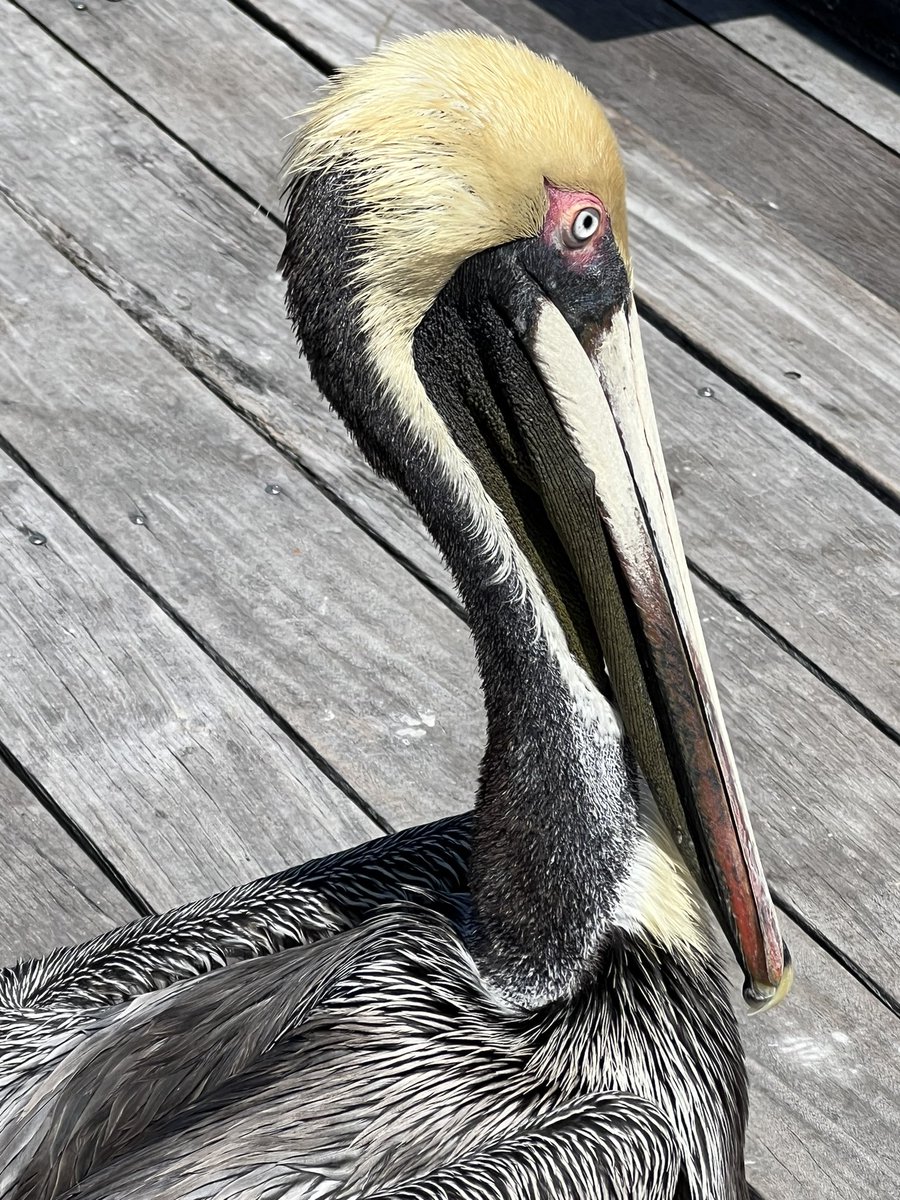 PhotoAbstract2's tweet image. Some of my photography from yesterday and today! Enjoy the beautiful! Look for the beaut! Have a great day fam! 💜💜💜 #art #artist #nature #photography #touchgrass