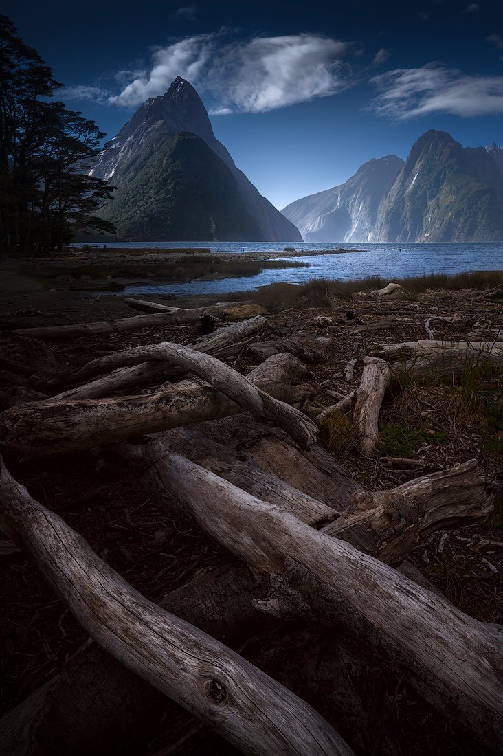 Isabella Tabacchi tweet media