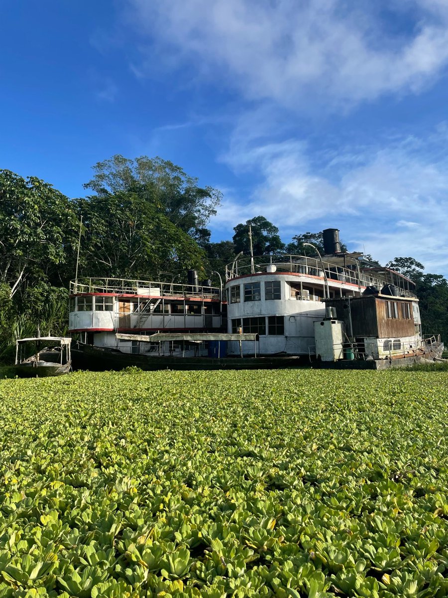 Peru 2024 has begun! School groups are currently taking part in a one or two week course whilst travelling and staying on historically restored Amazon rubber boom ships, and at this stage our groups have just got themselves to the boats ready to get started!