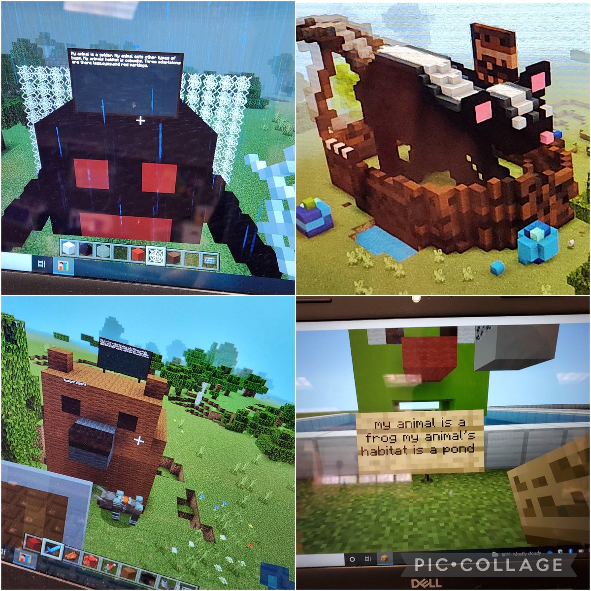 payneSTEMlab's tweet image. 3rd graders are rocking their animal adaptations Minecraft projects! @PlayCraftLearn @CobbInTech #teamAcworth #STEMCobb 🐶🦊🐱