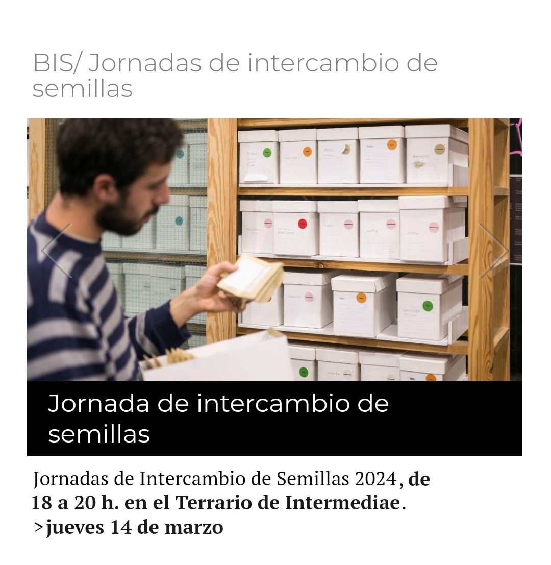 intermediae's tweet photo. 🌻¡Celebramos el jueves una nueva jornada del Banco de Intercambio de semillas (#BIS)! Os esperamos este #14MAR junto a #Ecosecha, en el Terrario de #Intermediae_Matadero.
⌚18h.📍Nave Una @mataderomadrid
✅Acceso libre hasta completar aforo.
Más info 👉https://t.co/WIjnufPQ1i https://t.co/uMWgYNoF2S