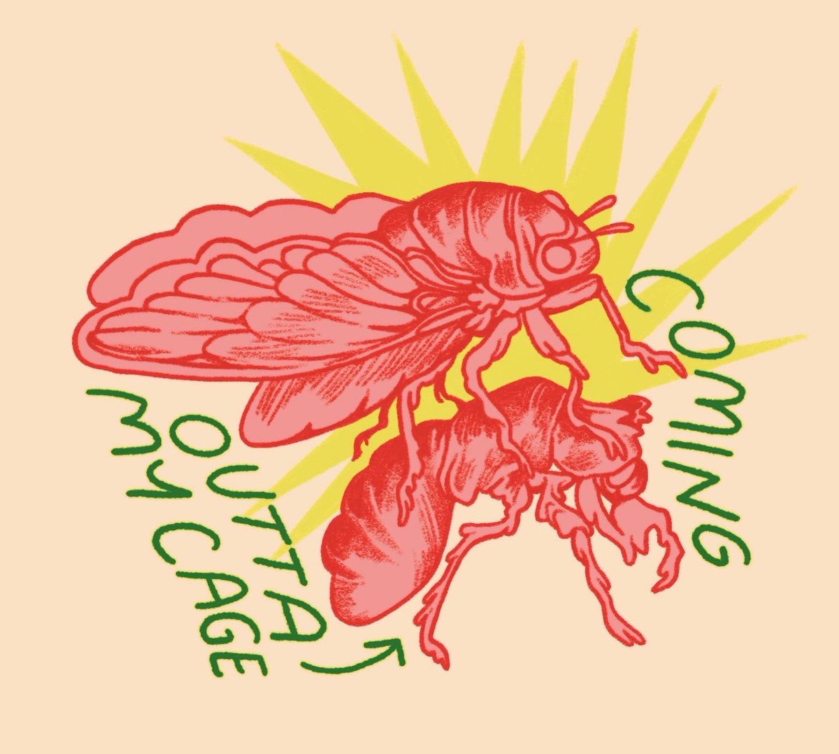 Cicada szn is near and I’m thinking about it a bunch as the weather grows warmer 🎶