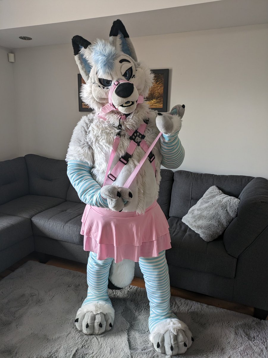 Would you tug a fox away for some cuddles ? 😇

📸<a href="/MikeTheFox07/">Mike The Fox🔜FWA</a>