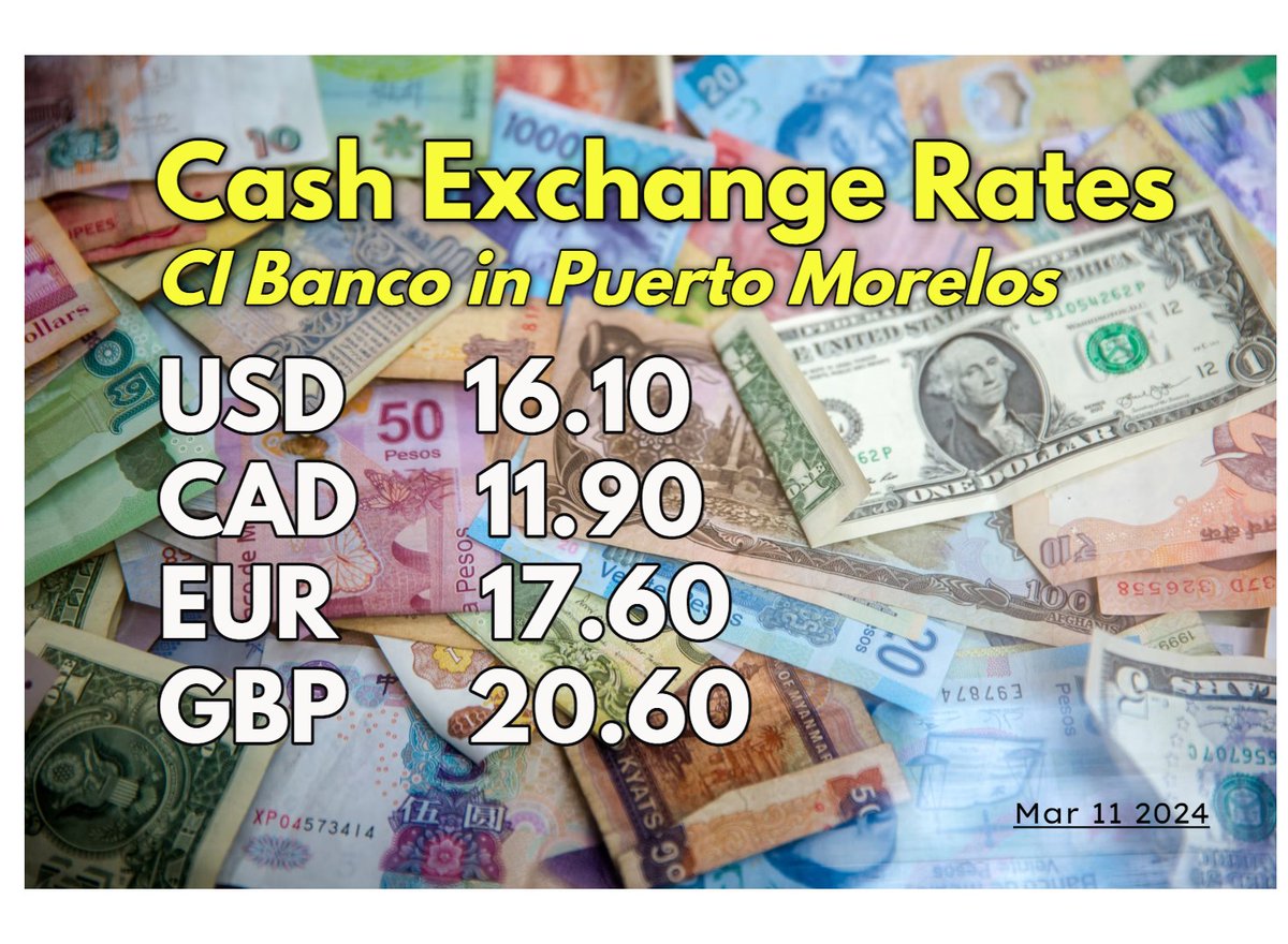 InPuertoMorelos tweet media