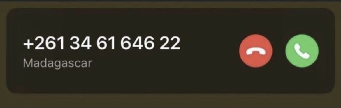 Mdrrrrr il veut quoi King Julian ???