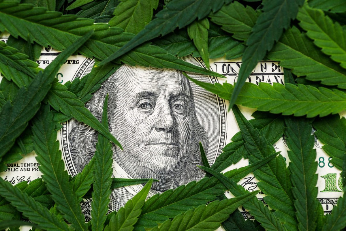 SproutMerchant's tweet photo. 2024 Guide to Credit Card-Friendly Dispensaries Near You

https://t.co/YNjUOYdoiN https://t.co/OhU5Xp7XNd