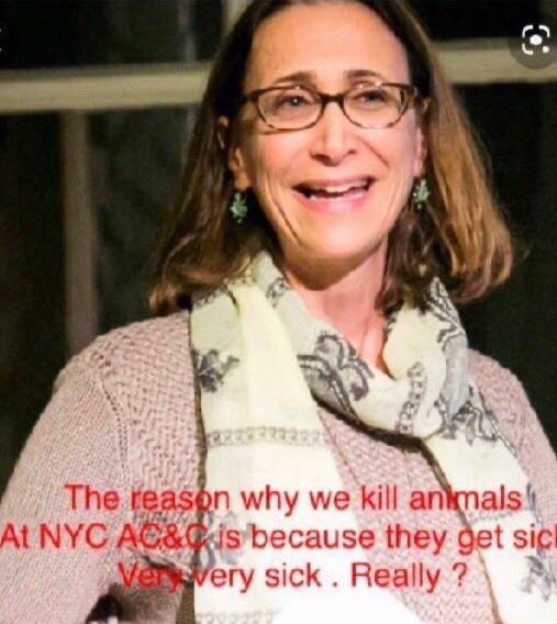 Wynjym's tweet photo. So this #KILLfactory full of #psychopathic 👹 #sadists put 

him through a #neuter a week ago … NOW THEY #MURDERED 

HIM WHY⁉️⁉️⁉️🤔😱🤬

@ASPCA #MEDICAL STUDENTS LIKE TO EXPERIMENT ON 

@NYCACC #PETS #DOGS #CATS ETC👹👹👹 https://t.co/zAm4UoLBXF