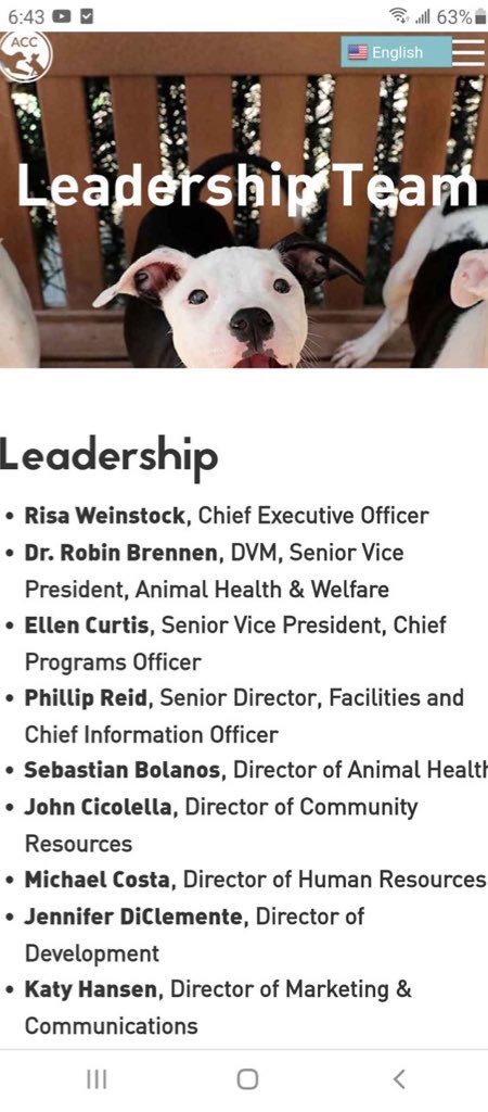 Wynjym's tweet photo. So this #KILLfactory full of #psychopathic 👹 #sadists put 

him through a #neuter a week ago … NOW THEY #MURDERED 

HIM WHY⁉️⁉️⁉️🤔😱🤬

@ASPCA #MEDICAL STUDENTS LIKE TO EXPERIMENT ON 

@NYCACC #PETS #DOGS #CATS ETC👹👹👹 https://t.co/zAm4UoLBXF